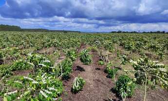 Imagem 2: Fazenda Rodovia Itabela