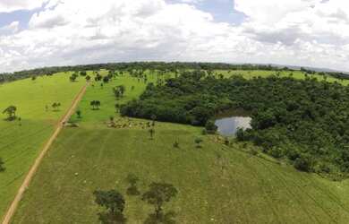 Imagem 3: Fazenda a venda, Município de Goiânia- Goiás!!!