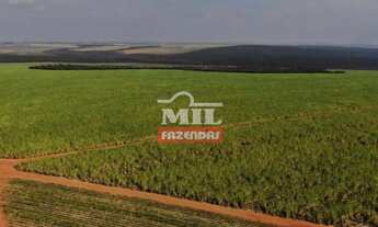 Imagem 6: Fazenda em Mineiros-GO. Área Total: (379 Alqueires) 1.835 Há
