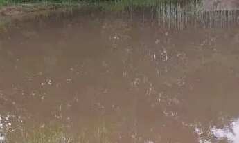 Imagem 6: Fazenda a venda em Britânia - Goiás