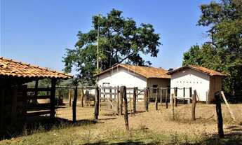 Imagem 5: VENDO EXCELENTE FAZENDA DE 490 HA COM TERRA VERMELHA E RIO NA REGIÃO DE FELIXLÂNDIA MG!!!!