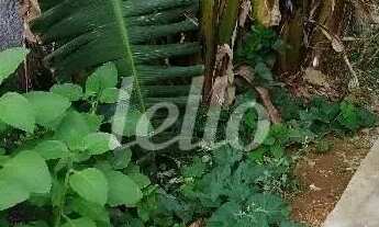 Imagem 3: Terreno null quartos à venda no(a) Água Rasa