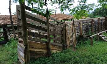 Imagem 3: Sítio todo formado para boi ,ótima localização