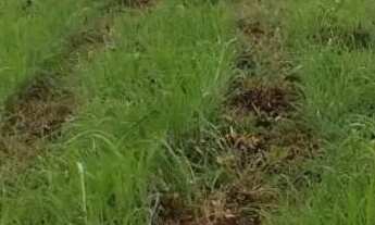 Imagem 3: Aceita Caminhonete ou Lote como parte de pagamento...Sitio Próximo Claro dos poçoes.