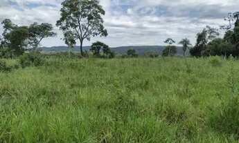 Imagem: Fazenda c/ 149he, c/ 80he aberto, terra