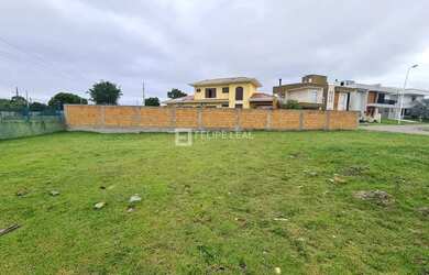 Imagem 6: Lote / Terreno em São João do Rio Vermelho - Florianópolis, SC