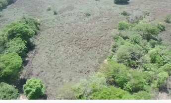 Imagem 3: Vende-se uma excelente fazenda de 238 hectares