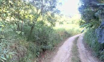 Imagem 5: Três Chácaras,no Sítio Boa Vista, em Viçosa - MG