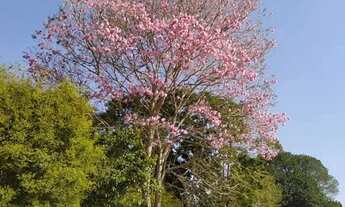 Imagem 2: Terreno Araruama