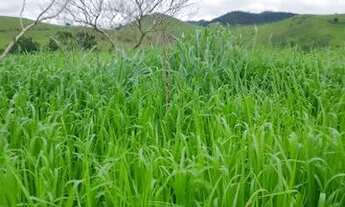 Imagem: Venda-se está propriedade de 5 Alqueires