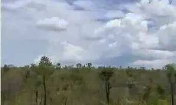 Imagem 5: FAZENDA (3.120 hectares). A 130 KM DE TANGARÁ DA SERRA. OPORTUNIDADE DE NEGÓCIO