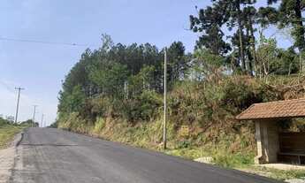 Imagem 2: Terreno para Venda em Nova Petrópolis, Linha Olinda