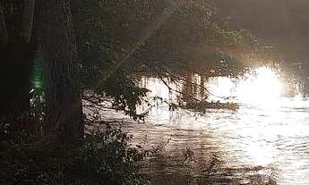 Imagem 5: Vendo pesqueiro lote no pantanal MT