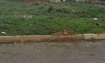 Imagem: VENDO TERRENO NA RUA 4 VICENTE PIRES CONDOMÍNIO