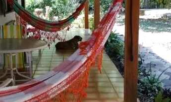 Imagem 2: Vendo chácara 4 hectares