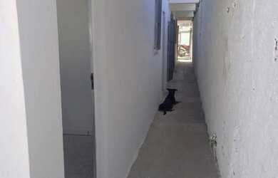 Imagem 6: Kitnet Para Estudantes - Próx. UFPE