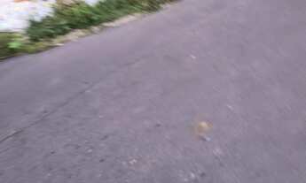 Imagem 3: Vende se terreno