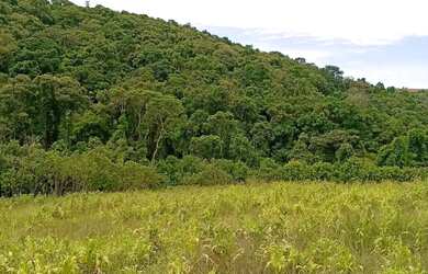 Imagem 2: Lotes para venda possui 500 metros quadrados em Cachoeira - Ibiúna - SP