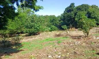 Imagem: Lote, Desocupado