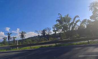 Imagem 3: Terreno.rodovia 424