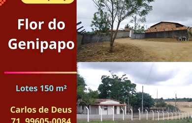 Imagem: Oportunidade Loteamento Flor do Genipapo