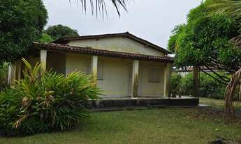 Imagem 7: Vendo maravilhosa fazenda no município de laje