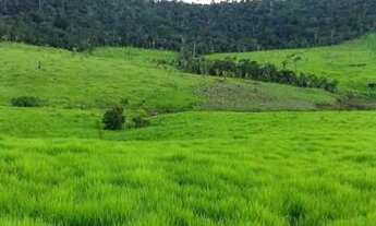 Imagem: Sitio em nova uniao