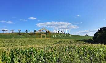 Imagem 4: Terreno Rural 25 hectares com Casa e Galpão em Capão Alto SC