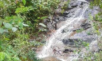 Imagem 5: Vendo magnífica fazenda para pecuária em Iguaí( Porteira fechada