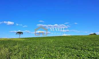 Imagem 7: Terreno Rural 25 hectares com Casa e Galpão em Capão Alto SC