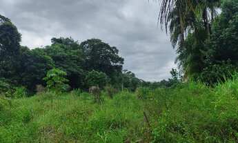 Imagem 3: R$150 mil sitio no cupiuba em Castanhal com 2 igarapés