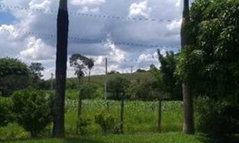 Imagem 3: Chácaras 3.000m2 com piscina casa 3qtos suíte, fogão a lenha, pomar, ribeirão, galinheiro