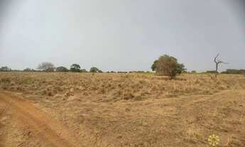 Imagem 4: Fazenda de 490 Hectares à venda em Marianópolis do Tocantins/TO