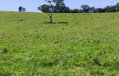 Imagem 8: 5000m² 30,000!!!