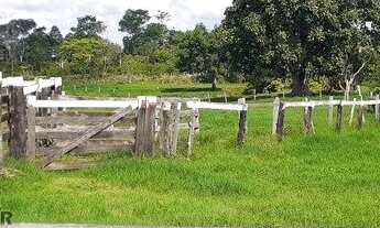 Imagem 5: Fazenda 127 alqueires Jaru