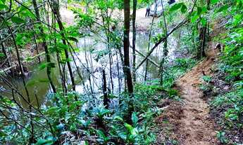 Imagem 6: Sítio a Venda em Domingos Martins