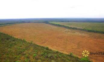 Imagem 4: Fazenda à venda 850 Ha - Presidente Kennedy/TO