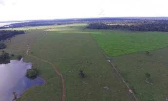 Imagem 4: Fazendas em Rondônia para lavoura