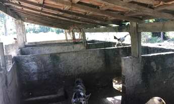 Imagem 2: Chácara com 5 dormitórios à venda, 427800000 m² por R$ 700.000,00 - Centro - Santo Antônio