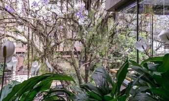 Imagem 4: Vendo cobertura na Avenida Soledade, Bairro Petrópolis em Porto Alegre