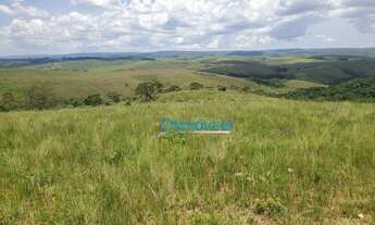 Imagem 3: Fazenda a venda - área real