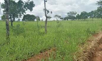 Imagem 5: Terrenos de 2 hectares com terra de plantio, lagoa e vista linda a 50minutos de BH