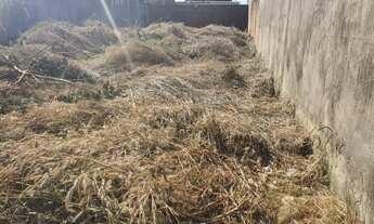 Imagem: Lote vazio murado Jardim da Barragem II