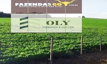 Imagem 2: Oportunidade ! Fazenda em Paraúna - 250 Alqueires