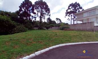 Imagem 7: Terreno à venda, 1744 m² por R$ 699.000,00 - São Gabriel - Colombo/PR