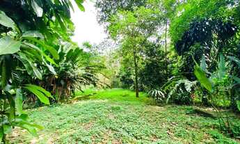 Imagem 2: Casa com 4 dormitórios à venda - Cambury - São Sebastião/SP