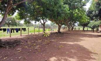 Imagem 6: Fazenda à venda, 575 Hectares em Paraíso do Tocantins