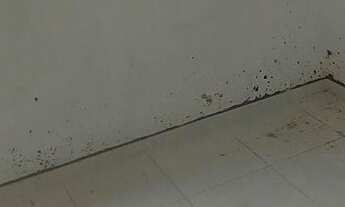 Imagem 6: Apartamento com 2 dormitórios à venda, 46 m² - Jardim Jamaica - Santo André/SP