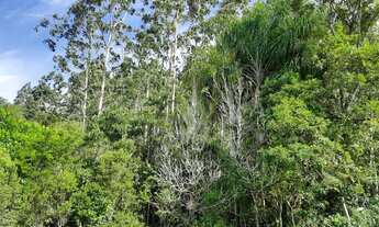 Imagem 3: Sítio para Venda em Imaruí, Centro