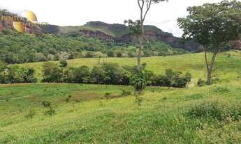 Imagem 5: Fazenda na região de Guiratinga à venda, 2341350 m² por R$ 4.500.000 - Centro - Guiratinga